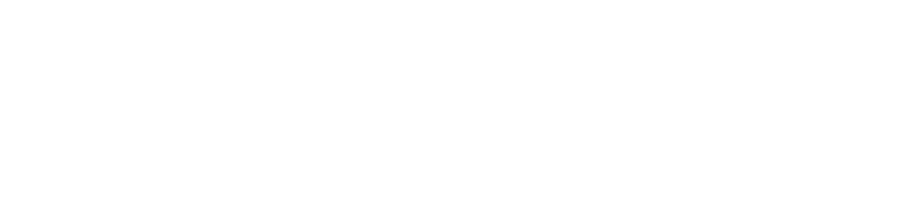 Career